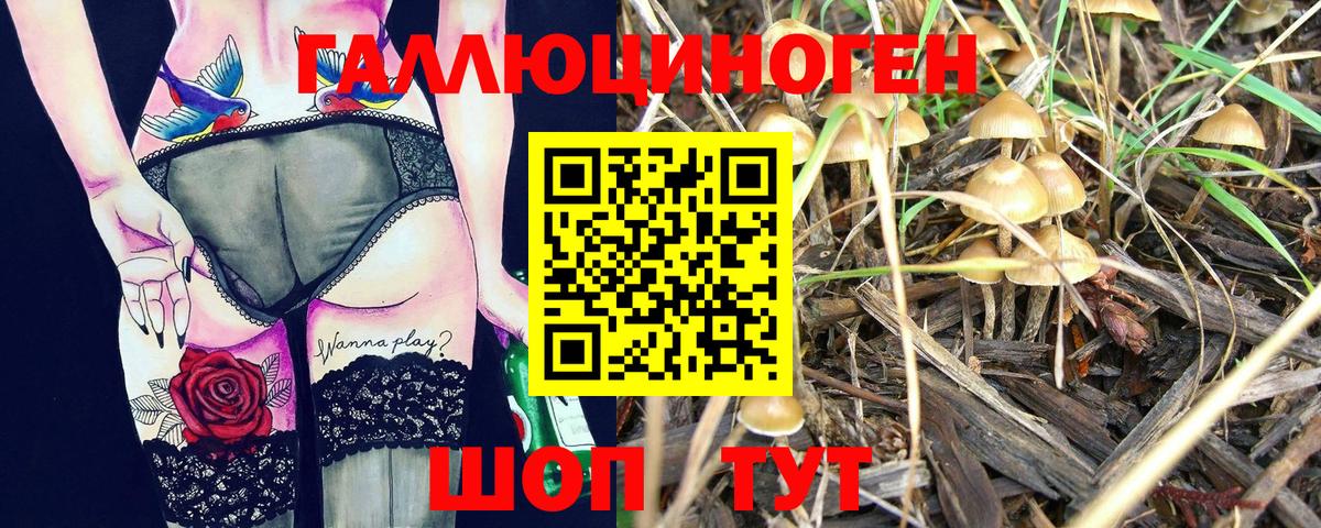 Псилоцибиновые грибы прущие грибы Вичуга