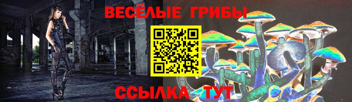 Вичуга  Галлюциногенные грибы GOLDEN TEACHER  Вход с VPN 